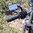 Biltwell Renegade Griffe, schwarz für 22mm Lenker